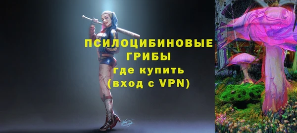 спайс Кодинск
