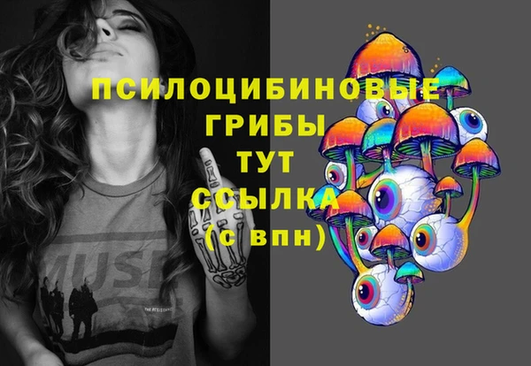 бошки Козельск