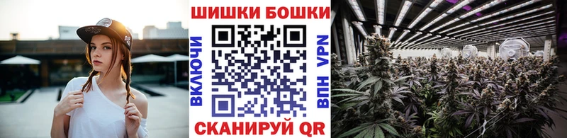 Бошки марихуана White Widow  kraken сайт  Суровикино 